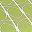 Maxfield Leaf