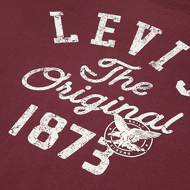 Boys 8-20 Levi's® Skate Legend Short Sleeve Graphic T-shirt