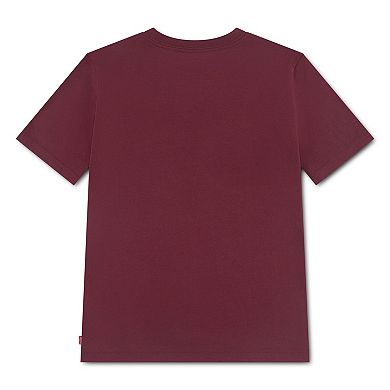 Boys 8-20 Levi's® Skate Legend Short Sleeve Graphic T-shirt