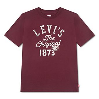 Boys 8-20 Levi's® Skate Legend Short Sleeve Graphic T-shirt