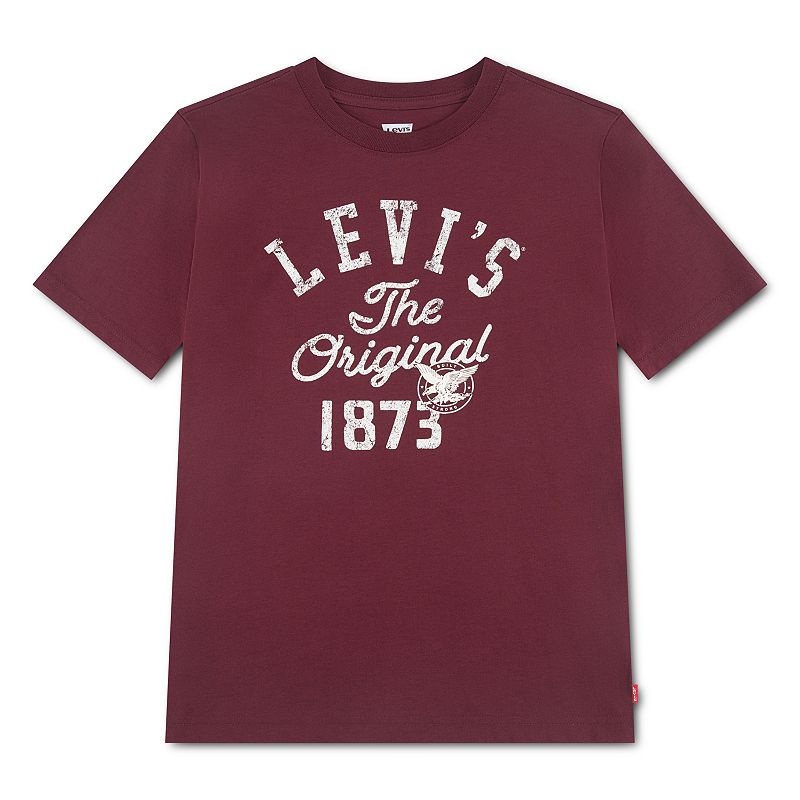 8-20 Levi's® Skate Legend Short Sleeve Graphic T-shirt, Boy's