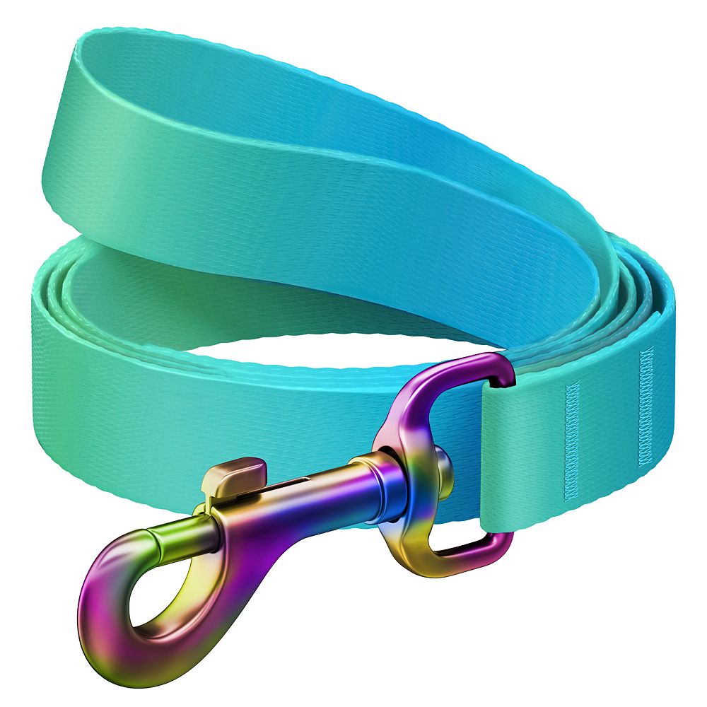 WAUDOG Nylon Dog Leash