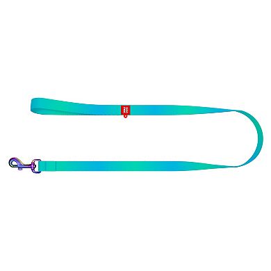 WAUDOG Nylon Dog Leash