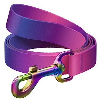 WAUDOG Nylon Dog Leash
