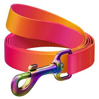 WAUDOG Nylon Dog Leash
