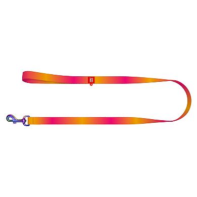 WAUDOG Nylon Dog Leash
