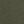 Olive Night