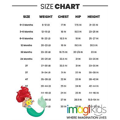 Disney Fleece Hoodie & Pants Set