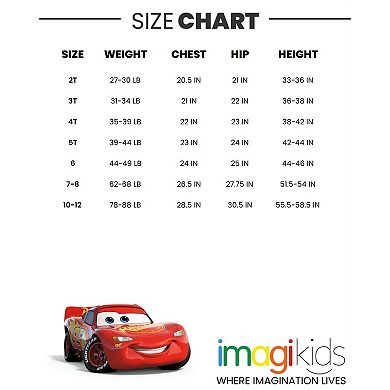 Disney Cars Fleece Hoodie & Pants Set