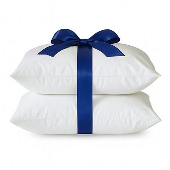 2-Pack Hypoallergenic Down-Alternative, Throw Pillow Inserts (20" x 20")