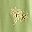 Green Palm Leaves
