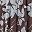 Brn Blue Bloom Floral
