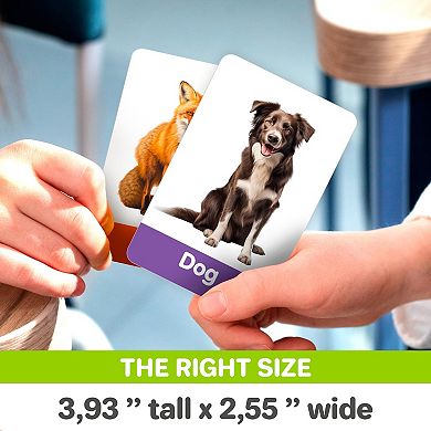 QUOKKA ABC Learning Flash Cards for Toddlers 2-4 Years Old 60 Realistic Flashcards for Kids