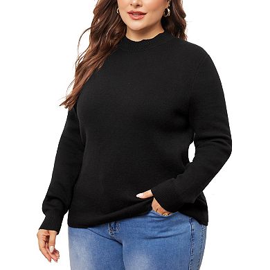 Women's Plus Size Sweaters Basic Crewneck Long Sleeve Knit Pullover Tops