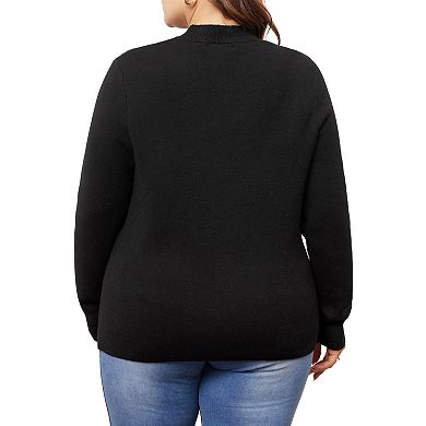 Women's Plus Size Sweaters Basic Crewneck Long Sleeve Knit Pullover Tops