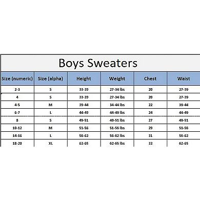 Elie Balleh Boys Slim Fit Modern Crewneck Sweater