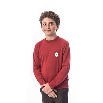 Elie Balleh Boys Slim Fit Modern Crewneck Sweater