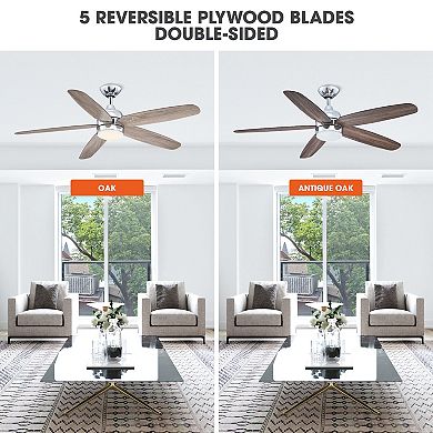 Modern 52" Chrome Reversible Blades Ceiling Fan with Light and Remote