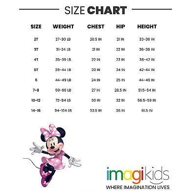 Disney Minnie Mouse Sweatshirt & Leggings Set