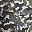 Camo Print