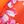 Tangerine Floral