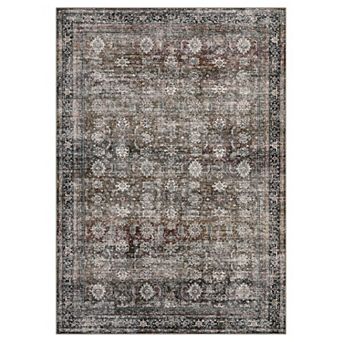 Oriental Washable Area Rugs for Living Room Non Slip Foldable Soft Stain Resistant Carpet