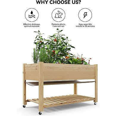 Wooden Raised Planter Box with Storage Shelf, Protective Liner, Mobile Elevated Wood Planter