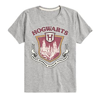 Boys 8-20 Harry Potter Hogwarts Collegiate Graphic Tee