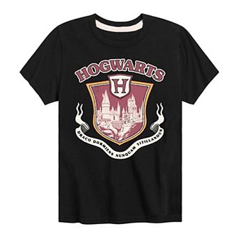 Boys 8-20 Harry Potter Hogwarts Collegiate Graphic Tee