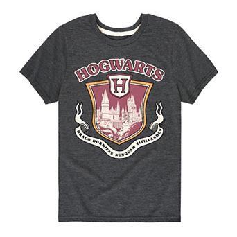 Boys 8-20 Harry Potter Hogwarts Collegiate Graphic Tee