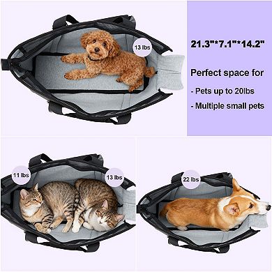 Large Pet Carrier Backpack for Cats and Dogs