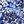 Blue Ditsy