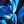 Blue Floral