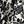 Ivory Tropic Palms