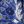 Blue Large Floral