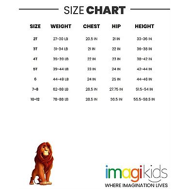 Disney French Terry Sweatshirt & Pants Set