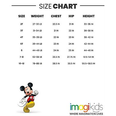 Disney Sweatshirt & Pants Set