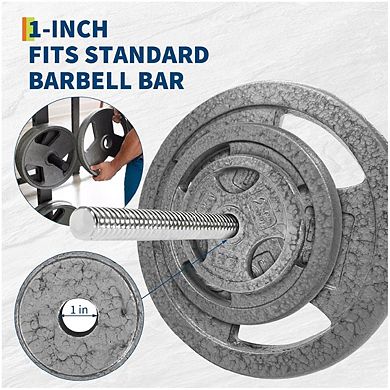 25LB Cast Iron Plates with Triple Grip Handles, 1 inch Plates