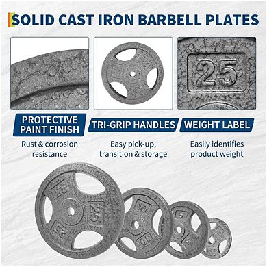 25LB Cast Iron Plates with Triple Grip Handles, 1 inch Plates