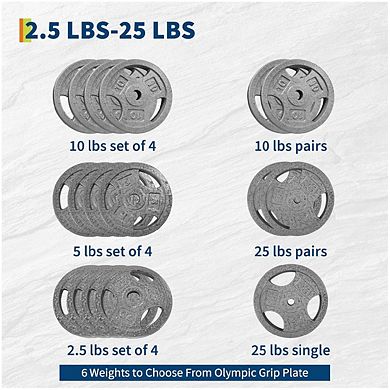 25LB Cast Iron Plates with Triple Grip Handles, 1 inch Plates