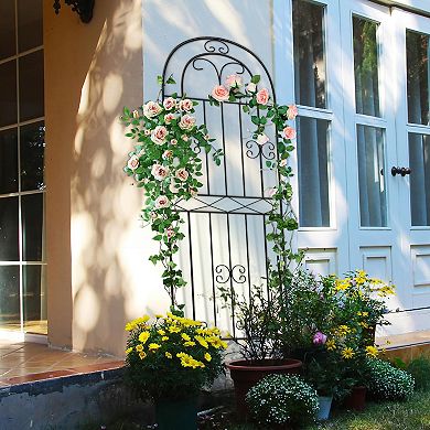 Metal Climbing Trellis