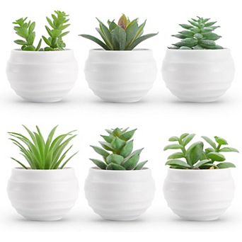 Der Rose Set of 6 Succulents Plants Artificial in Pots Small Fake Plants