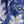 Blue Large Floral