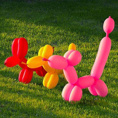 Easy Playhouse 100-pc. Balloon Animal Kit with Pump
