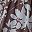 Brn Blue Bloom Floral