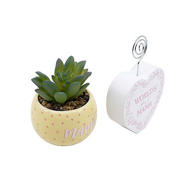 Succulent & Photo Clip Gift Set for Mom or Grandma