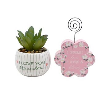 Succulent & Photo Clip Gift Set for Mom or Grandma