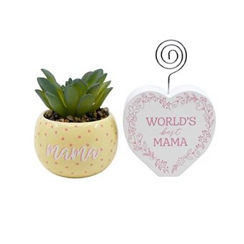 Succulent & Photo Clip Gift Set for Mom or Grandma