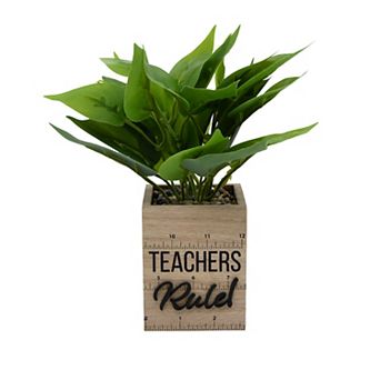 Teachers Rule Artificial Plant Arrangement