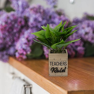 Teachers Rule Artificial Plant Arrangement
